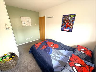 Picture 31